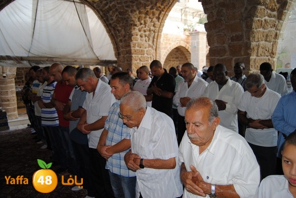 mahmoduia 3eed 808 (25).JPG